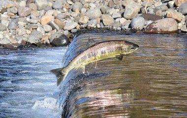 开云官网切尔西赞助商(2025已更新(最新/官方/入口)