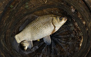 开云官网切尔西赞助商(2025已更新(最新/官方/入口)