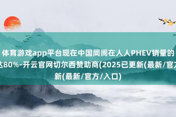 体育游戏app平台现在中国阛阓在人人PHEV销量的占比高达80%-开云官网切尔西赞助商(2025已更新(最新/官方/入口)