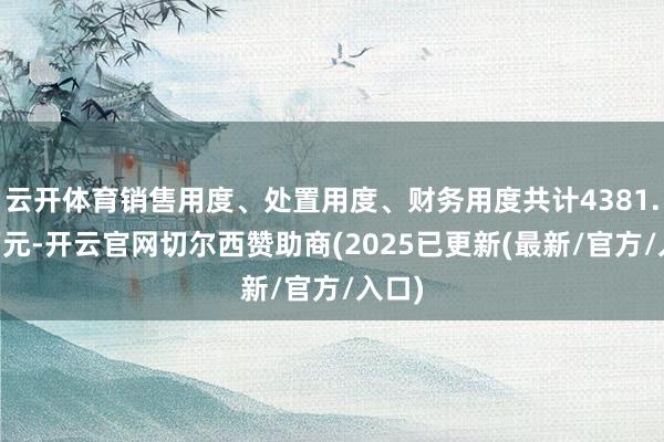 云开体育销售用度、处置用度、财务用度共计4381.98万元-开云官网切尔西赞助商(2025已更新(最新/官方/入口)